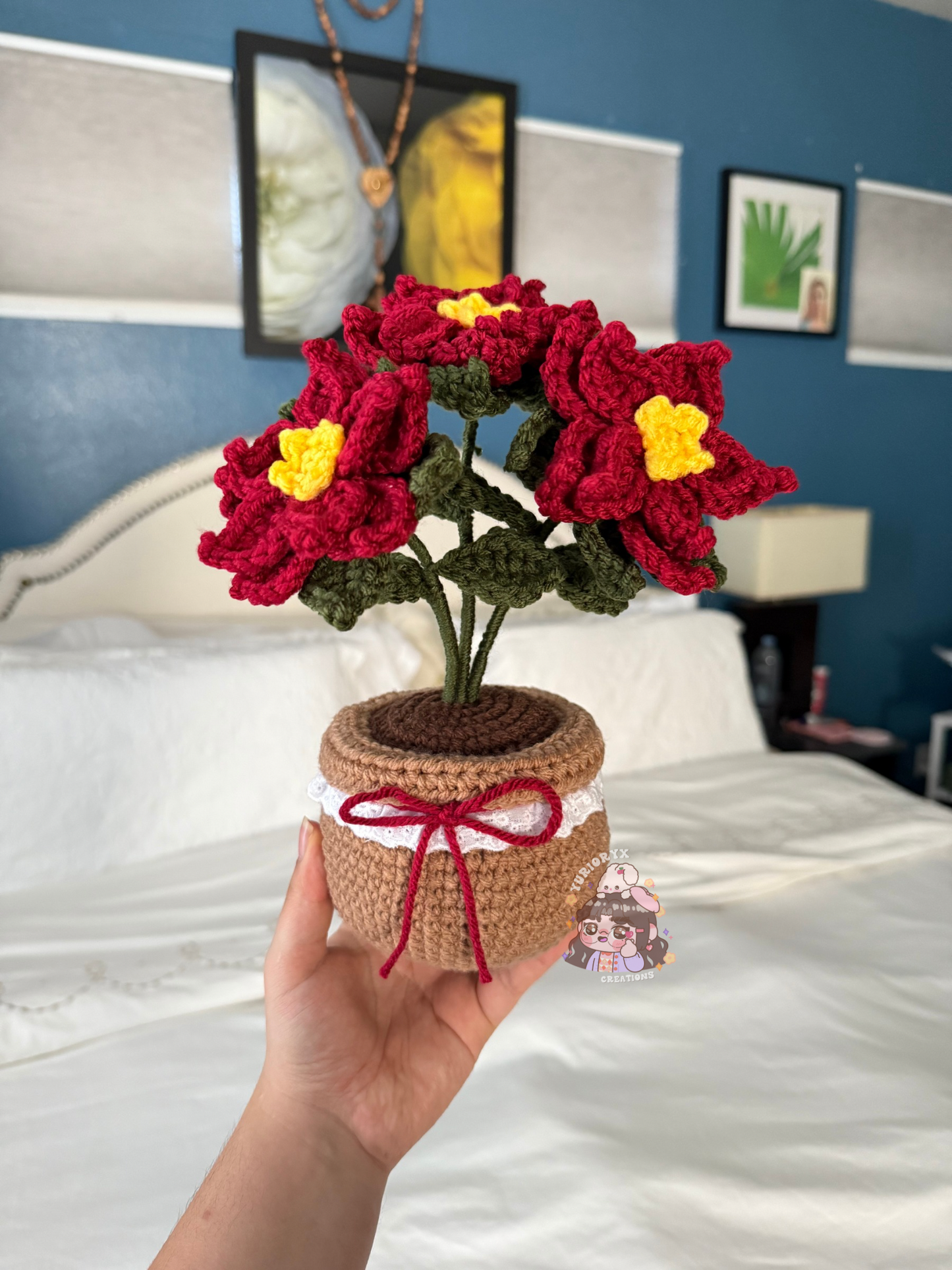 Nochebuena Potted Plant 🪴❤️